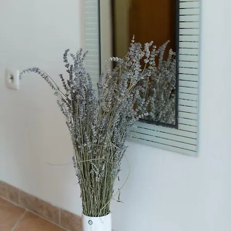 Admiral Apartamento Viskovo