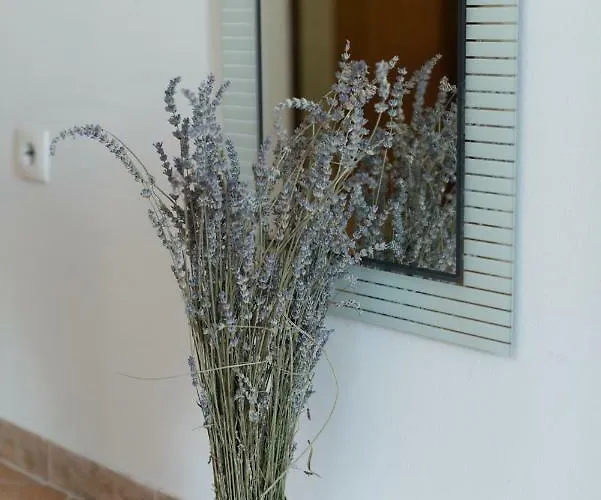 Admiral Apartamento Viskovo